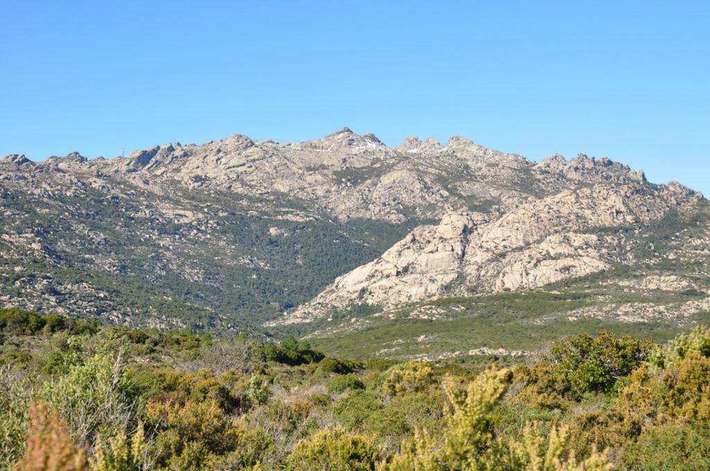 Вилла Sardegna Vicino Ad Olbia "La Casa Nel Vicolo" Беркидда Экстерьер фото