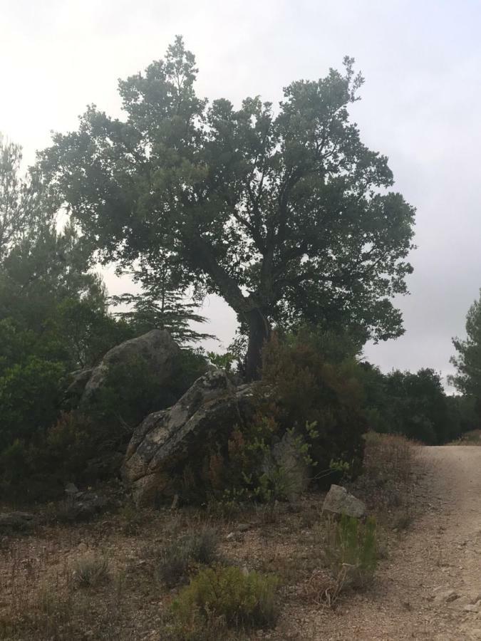 Вилла Sardegna Vicino Ad Olbia "La Casa Nel Vicolo" Беркидда Экстерьер фото